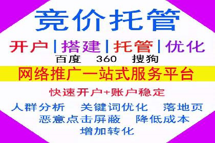 竞价推广SEM托管服务案例解析